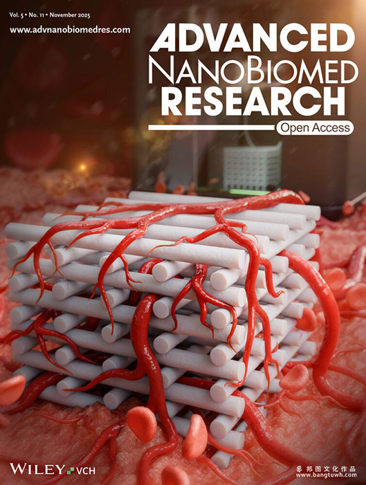 Advanced NanoBiomed Research 香港大学